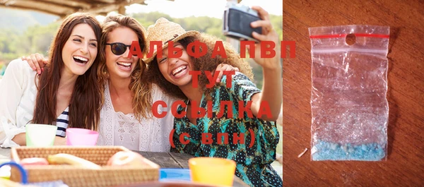 прущие грибы Котовск