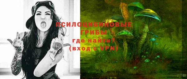 герыч Бронницы