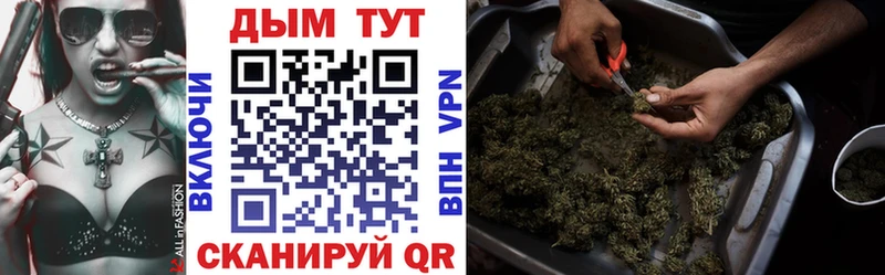 Купить закладки  Гагарин  Бошки Шишки сатива 